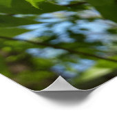 Frühlingshbse Verlasse Grünbäume Poster (Ecke)