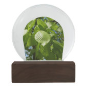 Frühlingshbse Verlasse Grünbäume Schneekugel (Rückseite)