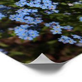 Frühlingsherum-Mir-Nots, Michigans oberste Halbins Poster (Ecke)