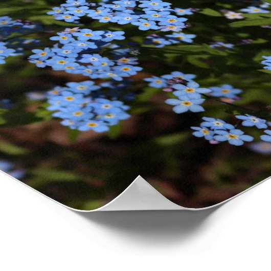 Frühlingsherum-Mir-Nots, Michigans oberste Halbins Poster (Ecke)