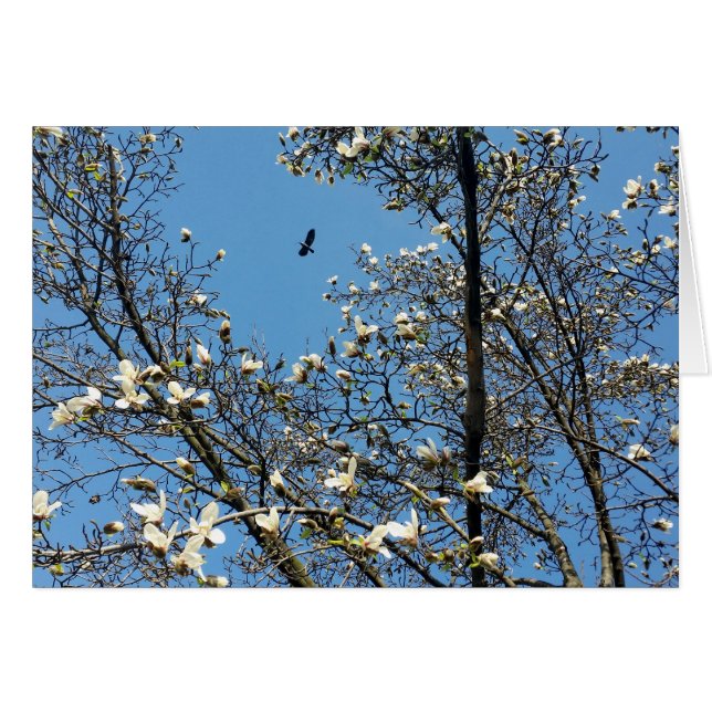 Frühlingshimmel (Vorderseite (Horizontal))