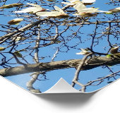 Frühlingshimmel Poster (Ecke)