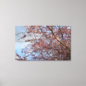 Frühlingshirschbaumblüte Leinwanddruck (Vorderseite)