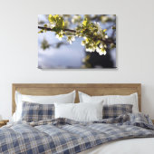 Frühlingshirschblumenzweig Leinwanddruck (Insitu (Schlafzimmer))