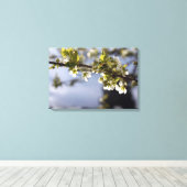 Frühlingshirschblumenzweig Leinwanddruck (Insitu (Holzboden))
