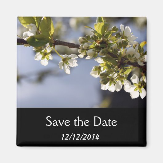 Frühlingshirschblumenzweig Magnet (Vorne)