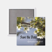 Frühlingshirschblumenzweig Magnet (Vorderseite/Rückseite)