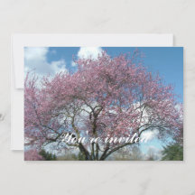 Frühlingshirschblüte