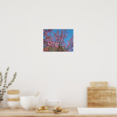 Frühlingshirschblütenbaum am blauen Himmel Poster (Küche)