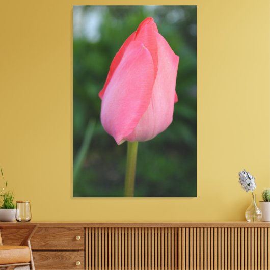 Frühlingshirsche Tulpe Blume Foto Kunst. Leinwanddruck (Insitu (Wohnzimmer))