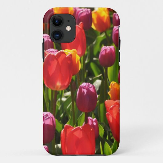 Frühlingshitze Case-Mate iPhone Hülle (Rückseite)