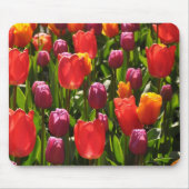 Frühlingshitze Mousepad (Vorne)