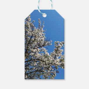 Frühlingsholz Apple Tree Geschenkanhänger