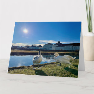 FrühlingshSun Karte