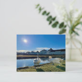 FrühlingshSun Postkarte (Stehend Vorderseite)