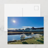 FrühlingshSun Postkarte (Vorne/Hinten)