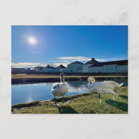FrühlingshSun Postkarte (Vorderseite)