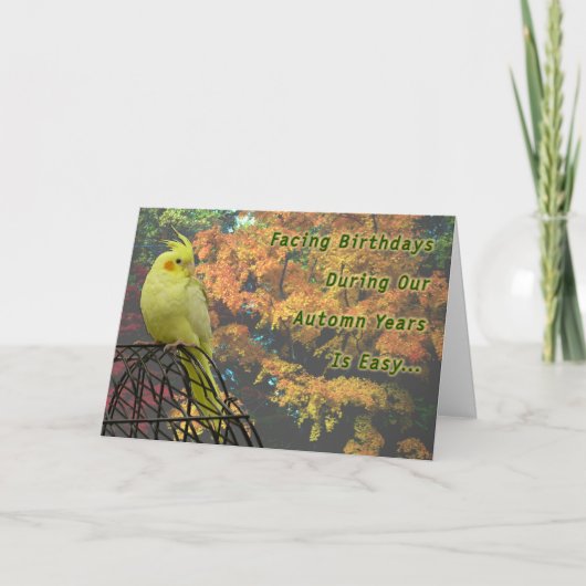 Frühlingshühner Karte (Vorderseite)