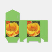 Frühlingshuppe Geschenkschachtel (Ungefaltet)