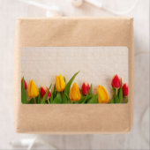 Frühlingshuppen (Insitu)