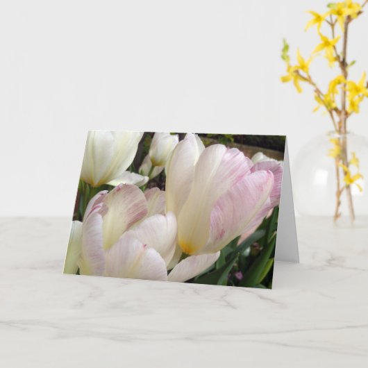 Frühlingshuppen Karte (Gelbe Blume)