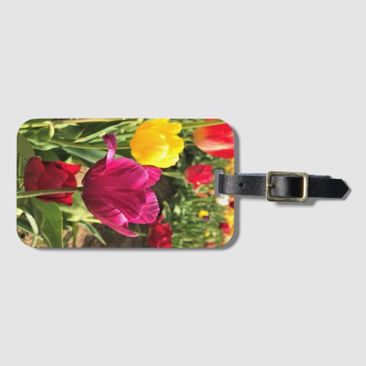 Frühlingshuppen, Oregon Gepäckanhänger (Vorderseite (Horizontal))