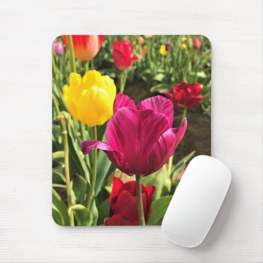 Frühlingshuppen, Oregon Mousepad (Mit Mouse)