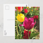 Frühlingshuppen, Oregon Postkarte (Vorne/Hinten)