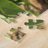 Frühlingshuppen, Oregon Puzzle (Seite)