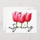 Frühlingshuppen Postkarte (Vorne/Hinten)