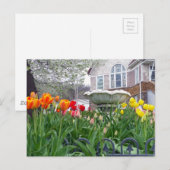 Frühlingshuppen Postkarte (Vorne/Hinten)