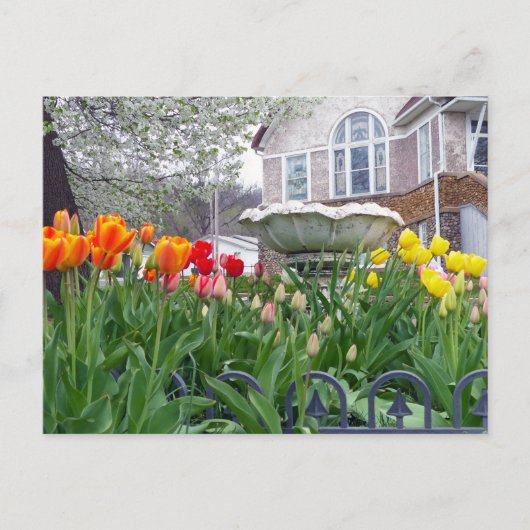 Frühlingshuppen Postkarte (Vorderseite)