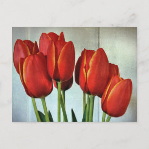 Frühlingshuppen Postkarte