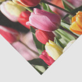 Frühlingshuppen Seidenpapier (Ausschnitt)