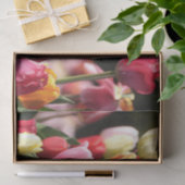 Frühlingshuppen Seidenpapier (Geschenk)