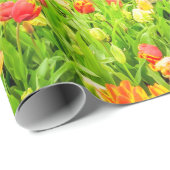Frühlingshuppen und Dielen Parkwrapping Paper Geschenkpapier (Rolleneckpunkt)