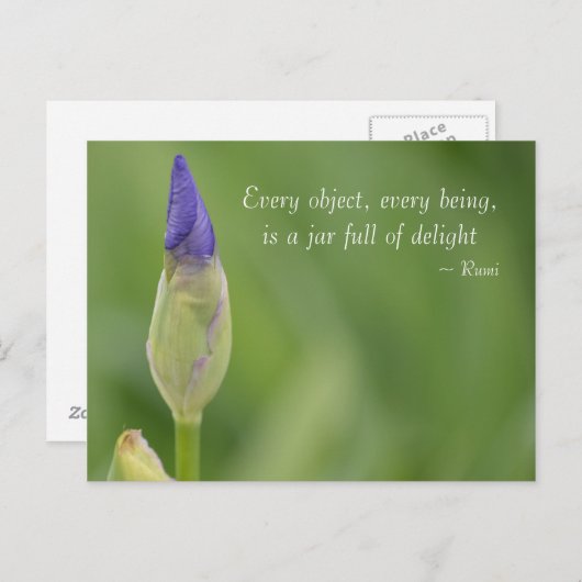 Frühlingsiris Postkarte (Vorne/Hinten)