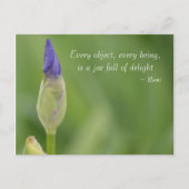 Frühlingsiris Postkarte (Vorderseite)