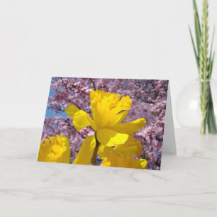 Frühlingskarten gelbe Narzissen Blumen rosa Blüten Feiertagskarte