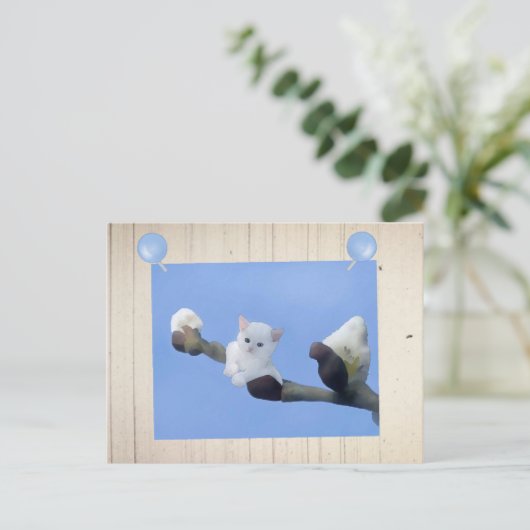 Frühlingskätzchen Postkarte (Stehend Vorderseite)