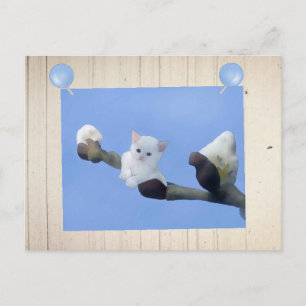 Frühlingskätzchen Postkarte