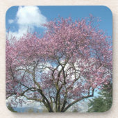 Frühlingskirschblüten Getränkeuntersetzer (Vorderseite)