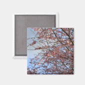 Frühlingskirschblüten Magnet (Vorderseite/Rückseite)