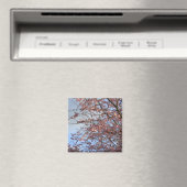 Frühlingskirschblüten Magnet (In Situ (Geschirrspüler))