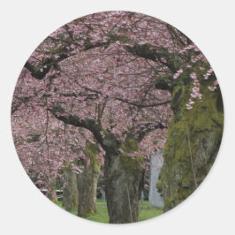 Frühlingskirschblüten Runder Aufkleber