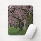 Frühlingskirschblütenbäume Mousepad (Mit Mouse)