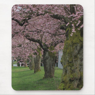 Frühlingskirschblütenbäume Mousepad