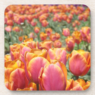 Frühlingskork Untersetzer Rosa Tulips Blume