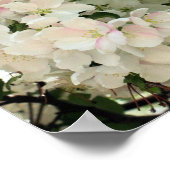 Frühlingskrabappel-Blume blüht Nah auf Poster (Ecke)