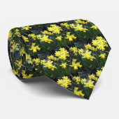 FrühlingsKrawatte Krawatte (Gerollt)
